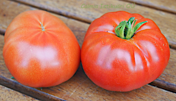 Tomat Super Marmande